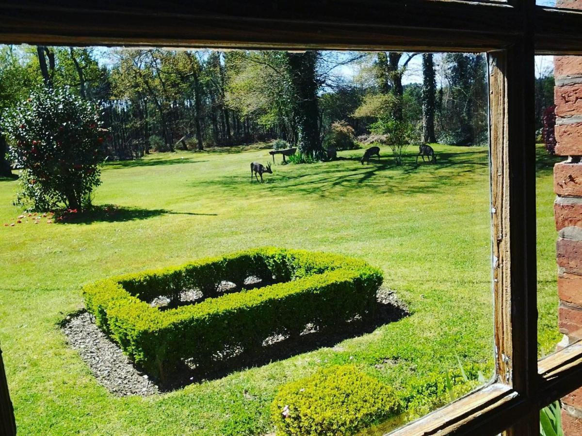 Les Hotes Des Guillemets Laglorieuse Екстер'єр фото